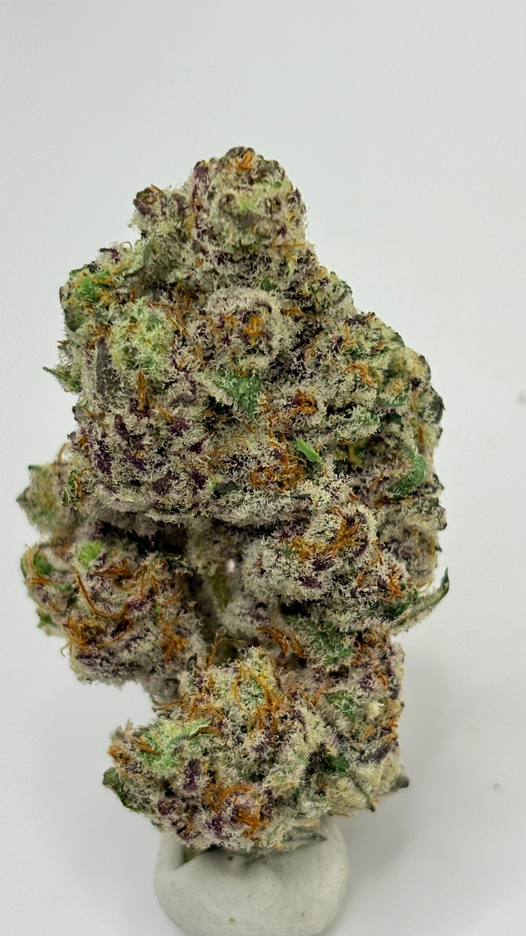 Cherry Biscotti strain