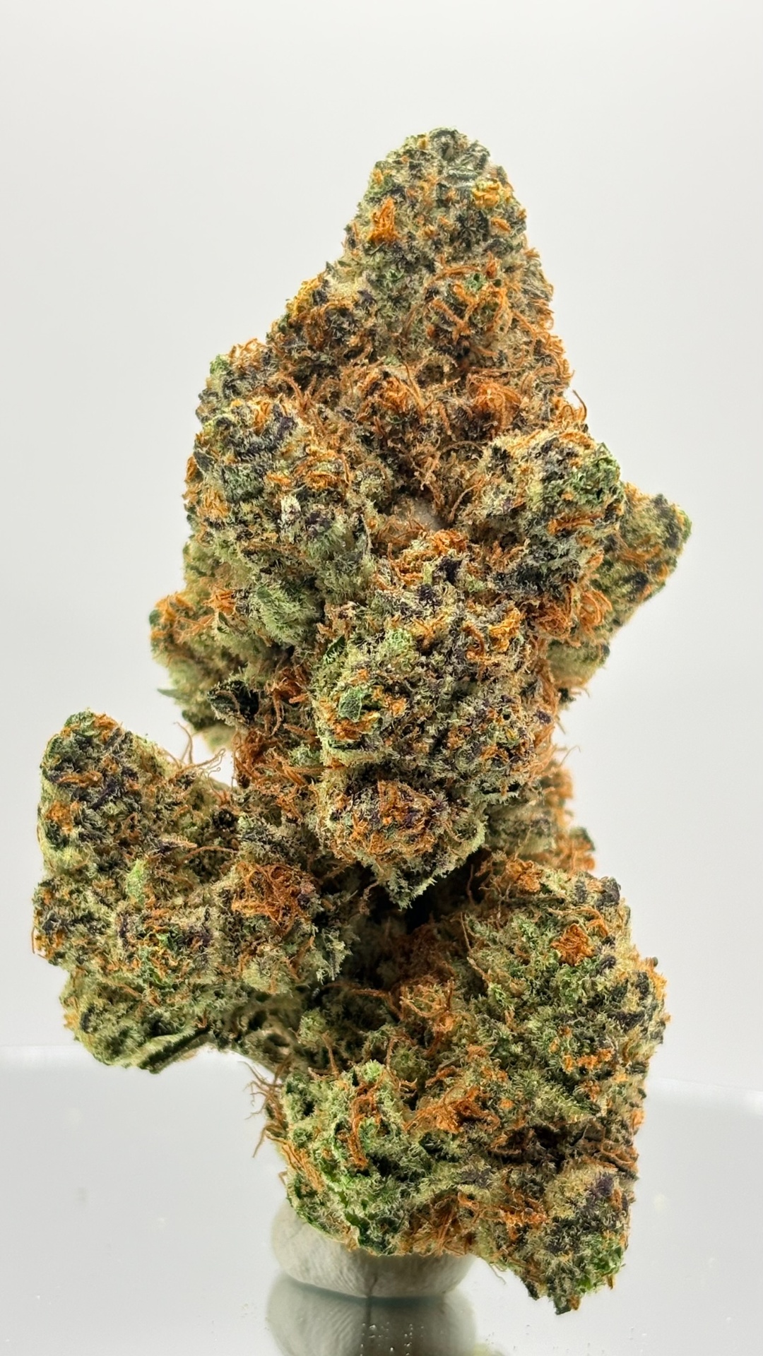 Ovu strain